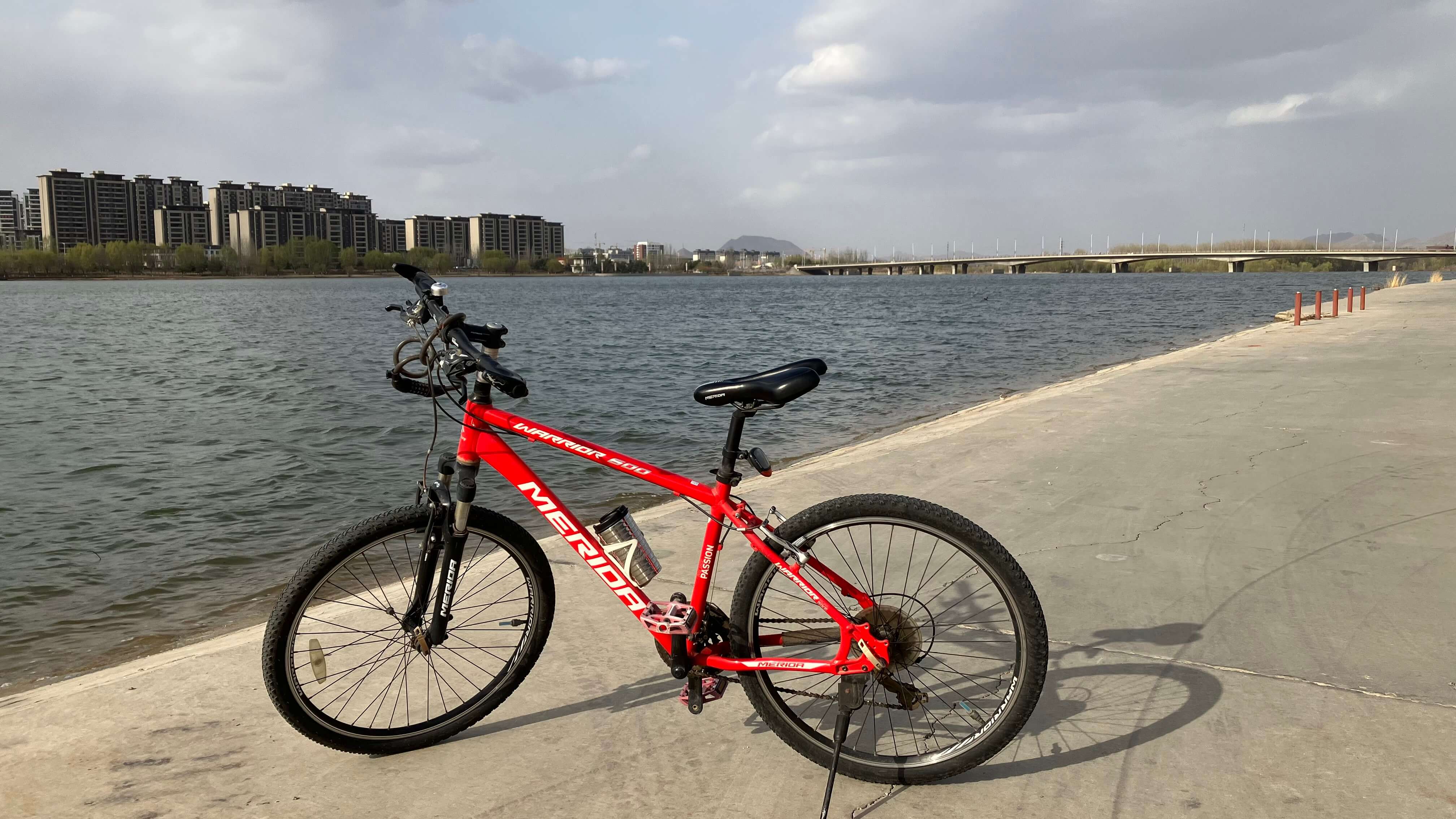 riding.jpeg