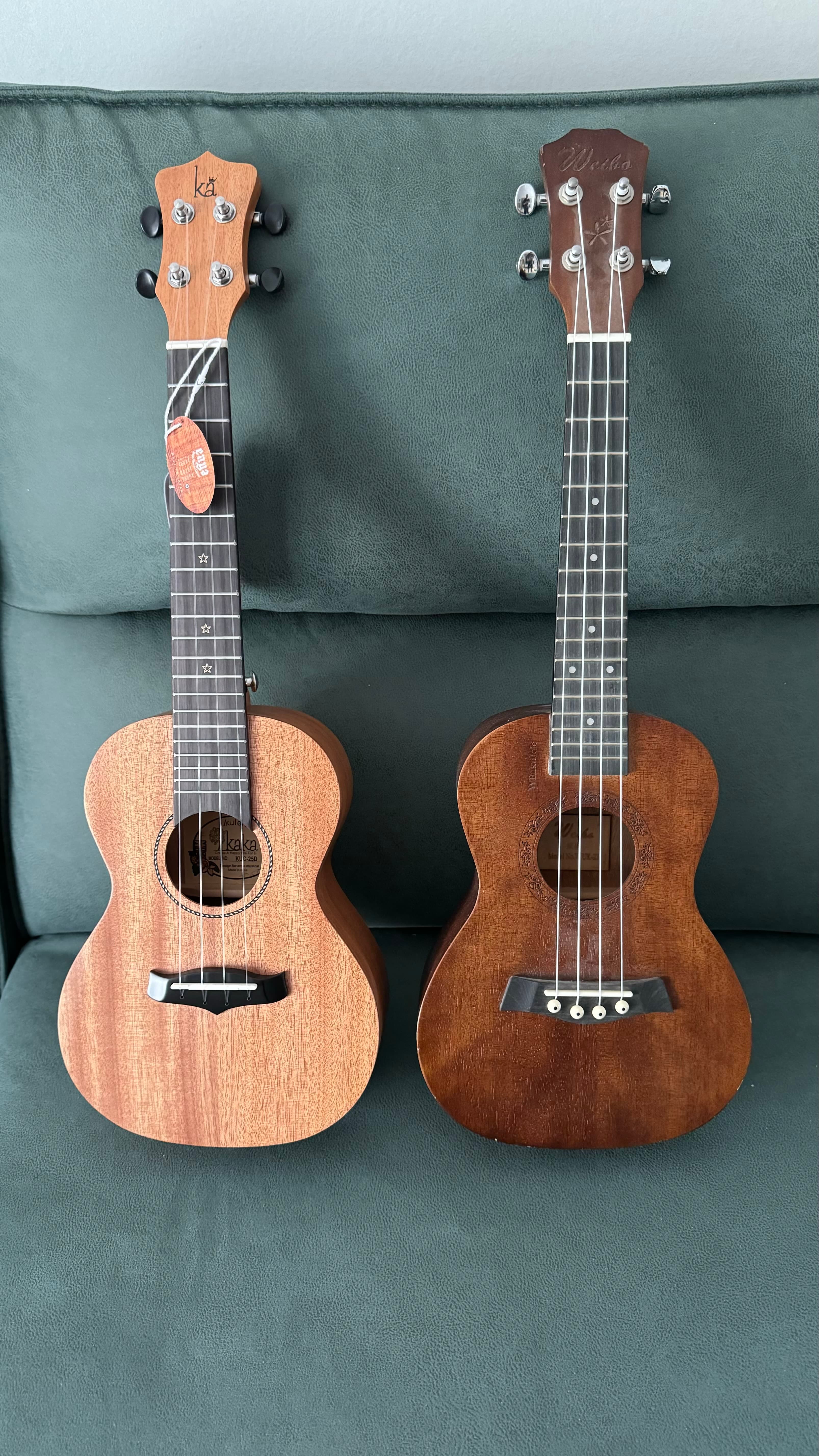 w69-ukelele